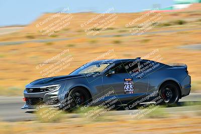media/Oct-06-2024-Extreme Speed (Sun) [[566413cb2b]]/Blue/Session 1 (Turns 11 and 12)/